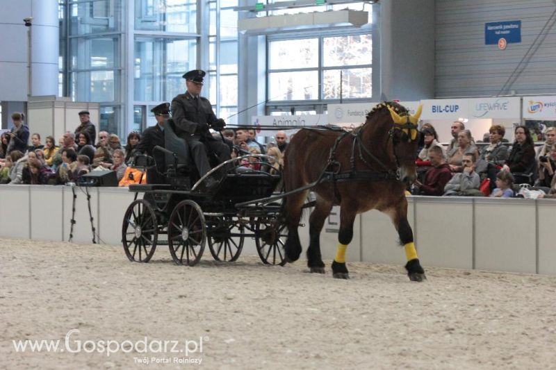 CAVALIADA 2013 w Poznaniu