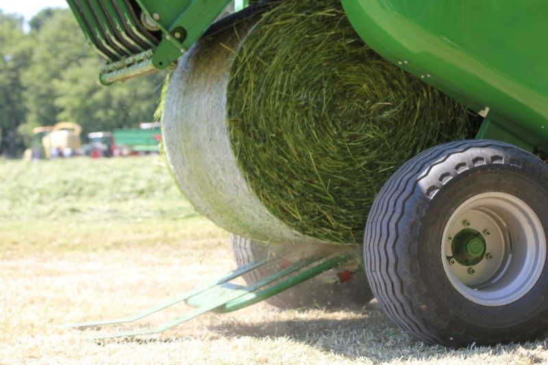 Zielone AGRO SHOW – POLSKIE ZBOŻA 2014 w Sielinku - sobota