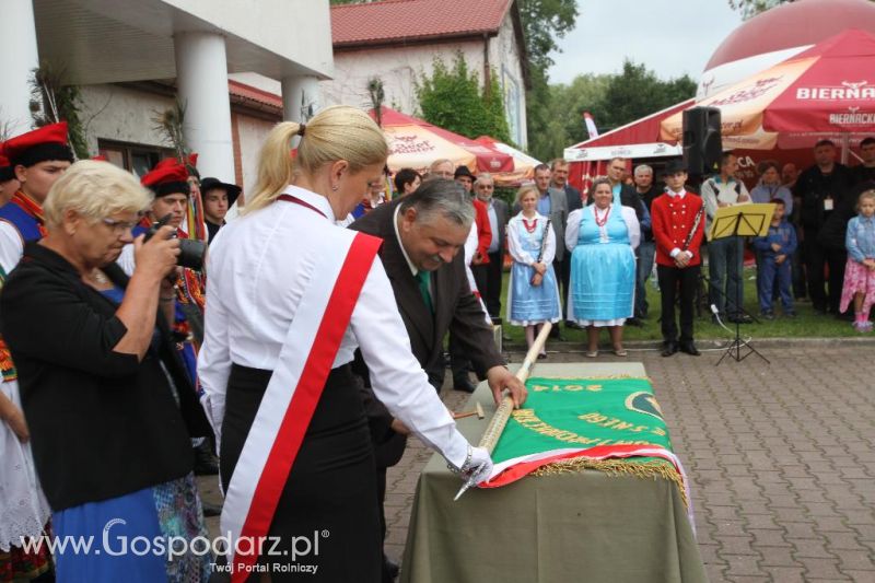 I Krajowa Wystawa Bydła Mięsnego w Sielinku - sobota