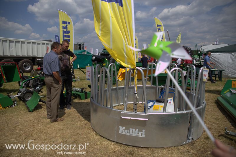 Kellfri na OPOLAGRZE 2016