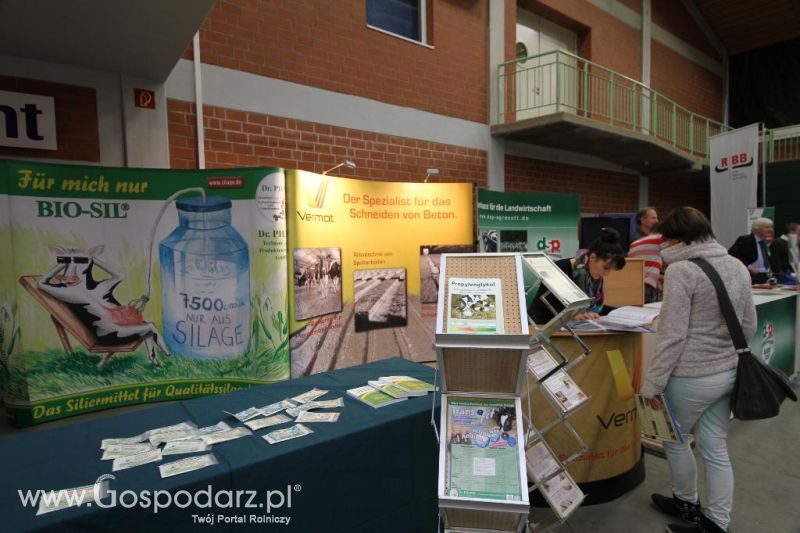 Wystawa  Blickpunkt Rind 2013 w miejscowości Paaren/Glien (Niemcy)
