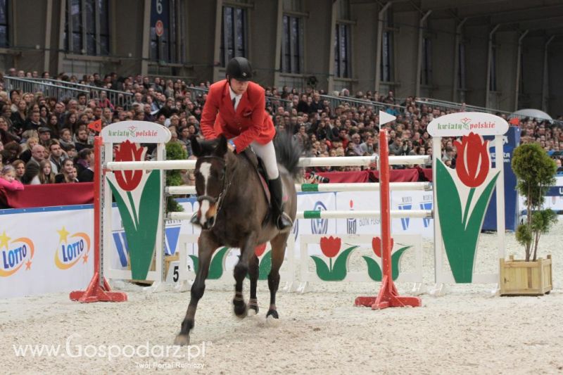 CAVALIADA 2013 w Poznaniu