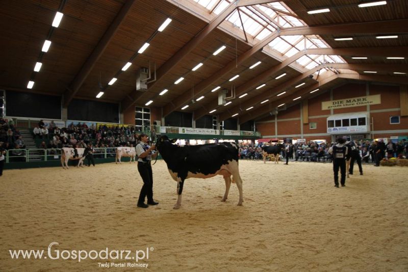 Wystawa  Blickpunkt Rind 2013 w miejscowości Paaren/Glien (Niemcy)