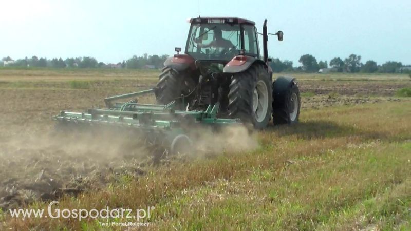 Talerzowane 2013 