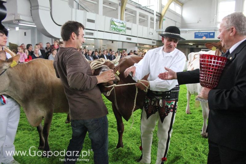 XXVI Krajowa Wystawa Zwierząt Hodowlanych - sobota i niedziela