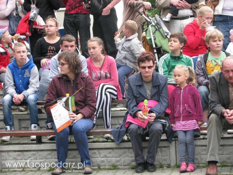 Festiwal Wieprzowiny w Koźminie Wielkopolskim 2013