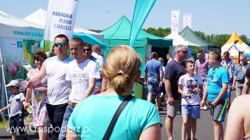 ZIELONE AGRO SHOW 2017 w Ułężu (niedziela, 28 maja)