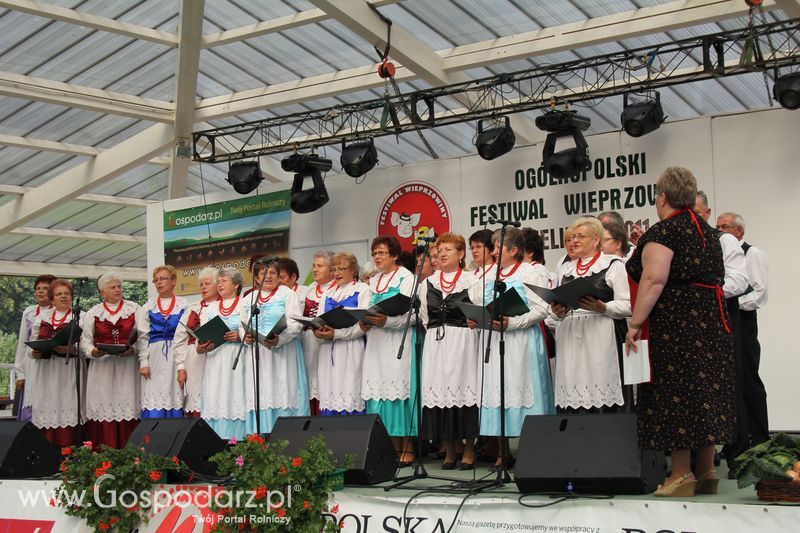 Ogólnopolski Festiwal Wieprzowiny w Sielinku