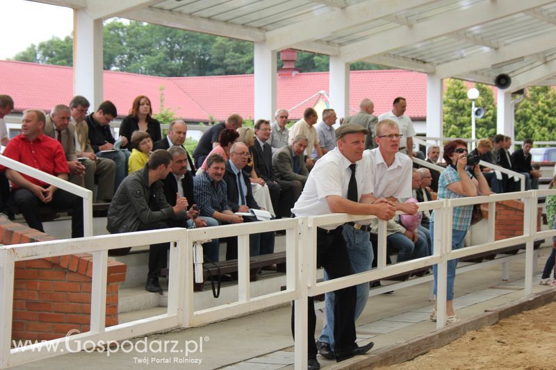Wystawa bydła Sielinko 2011