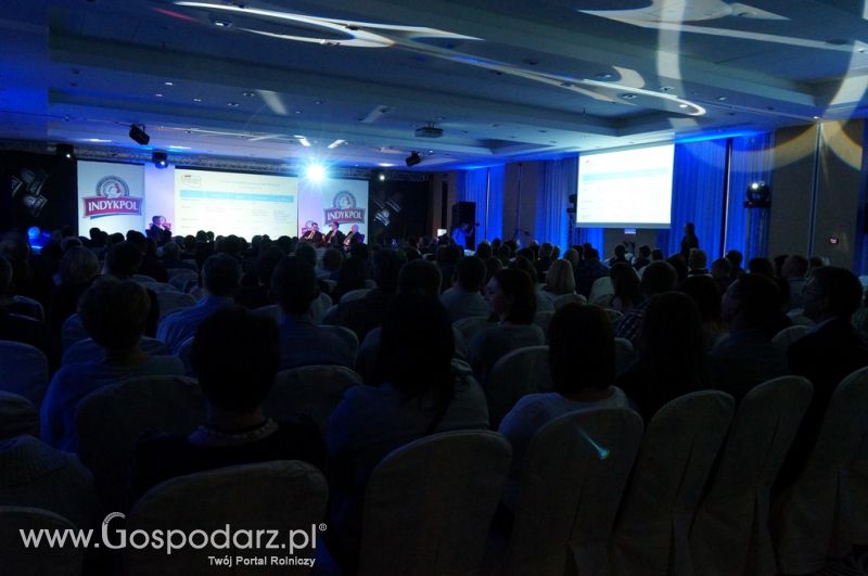 Potęga drobiarska – Polska 2020