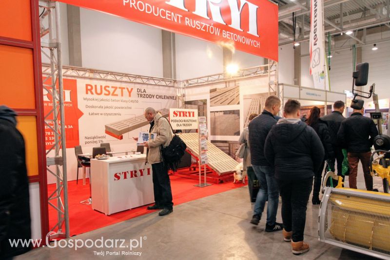 Ferma 2019 dzień 1