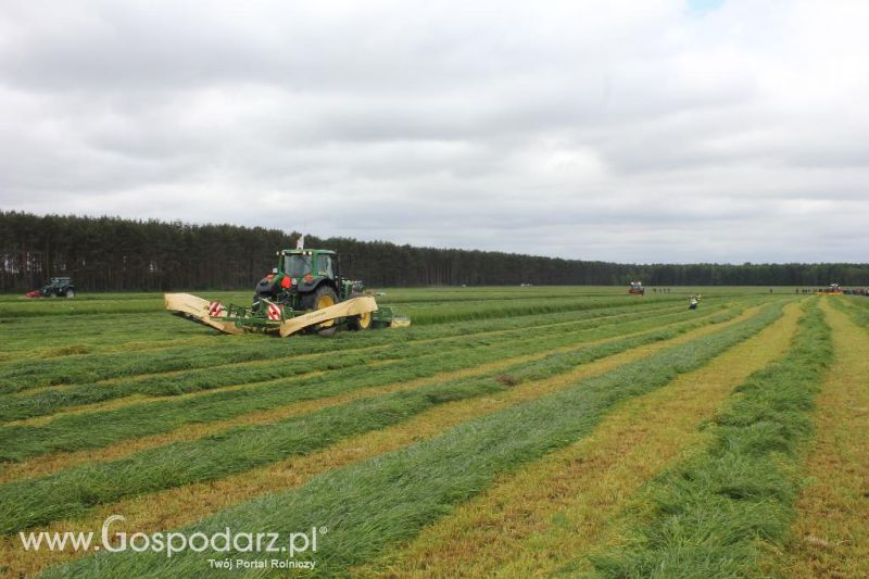Pokazy maszyn Polskie Zboża Zielone Agro Show 2013