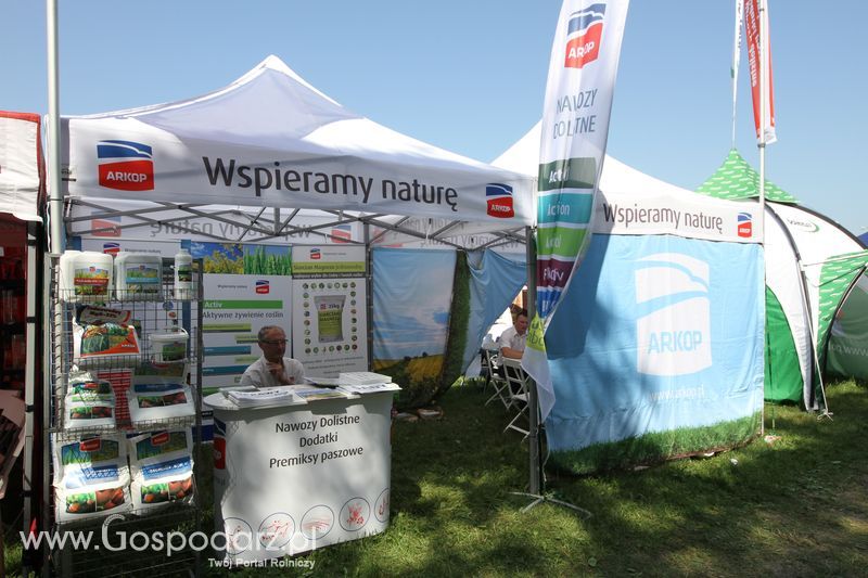  Regionalna Wystawa Zwierząt Hodowlanych W Szepietowie 2016 z Gospodarz.pl