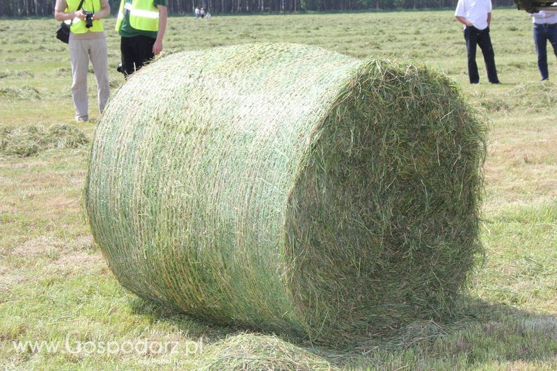 Zielone Agro Show pokaz maszyn rolniczych