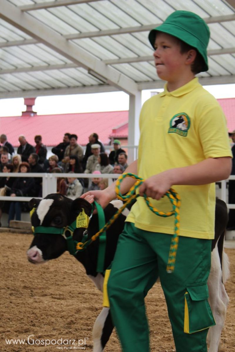 Mali Hodowcy VII Ogólnopolska Wystawa Bydła Hodowlanego w Sielinku 2012
