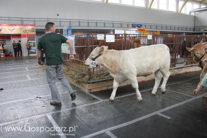 XXVI Krajowa Wystawa Zwierząt Hodowlanych - sobota i niedziela