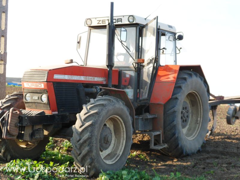 Głęboszowanie ZTS 16245 