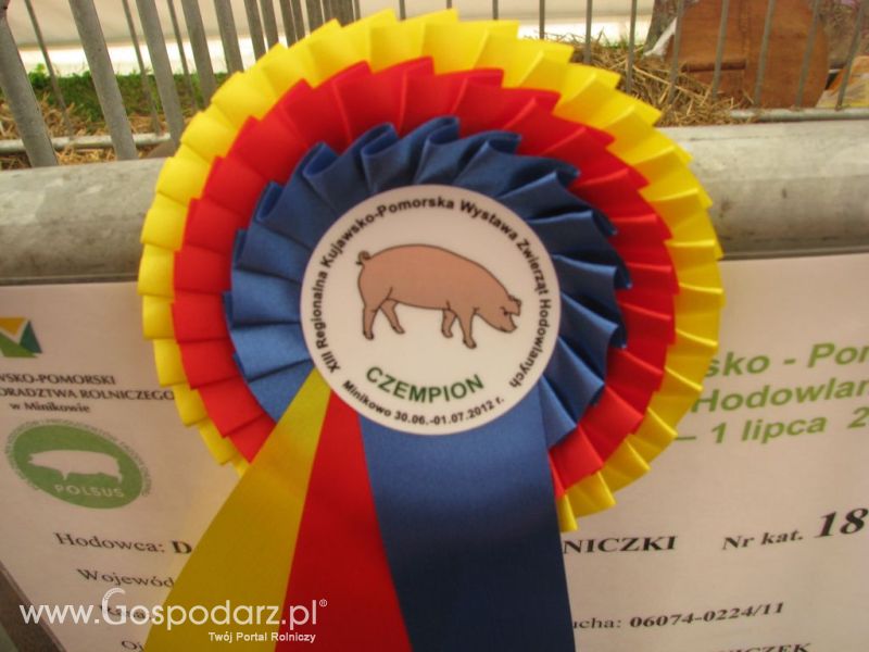 Relacja Foto Agro-Tech Minikowo 2012