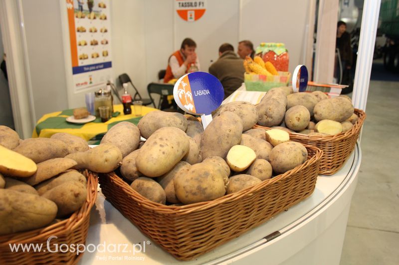 Fotorelacja z XVII Międzynarodowych Targów Techniki Rolniczej AGROTECH i XI Targów Przemysłu Drzewnego i Gospodarki Zasobami Leśnymi LAS-EXPO dzień 1