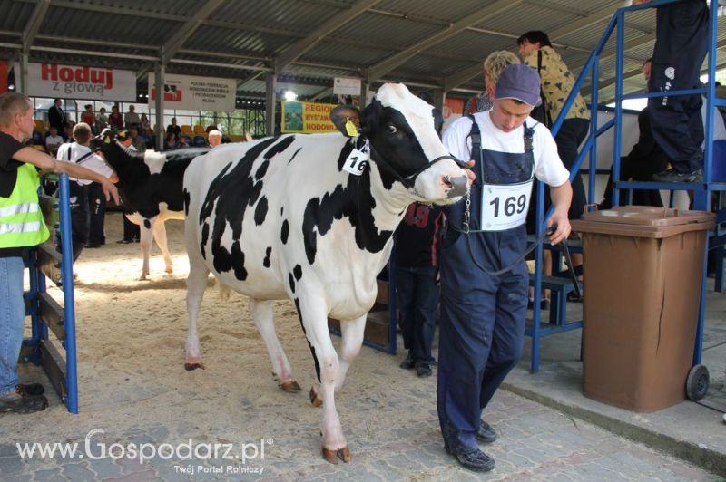 Bydło - Szepietowo 2012 XIX Regionalna Wystawa Zwierząt Hodowlanych