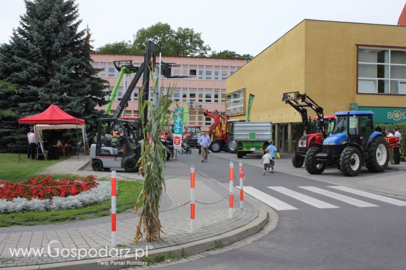 XIV Wojewódzko-Diecezjalne Dożynki Wielkopolskie w Ostrowie Wielkopolskim