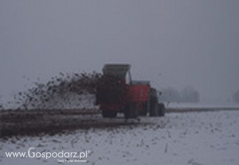 Rozrzutniki (transportery) BROCHARD