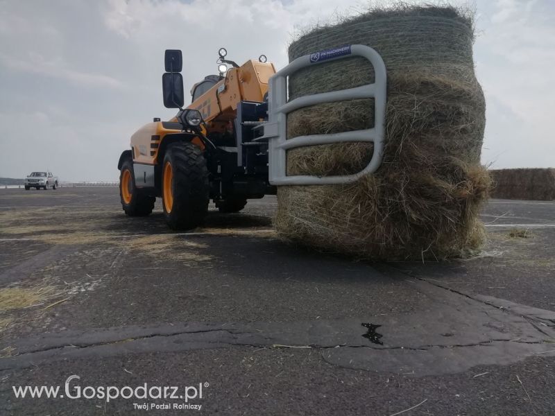 Turniej Precyzyjny Gospodarz Opolaga 2019 Niedziela