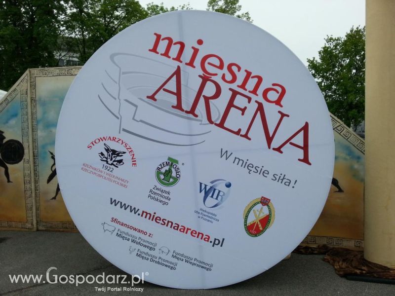 Mięsna Arena 2013 w Poznaniu