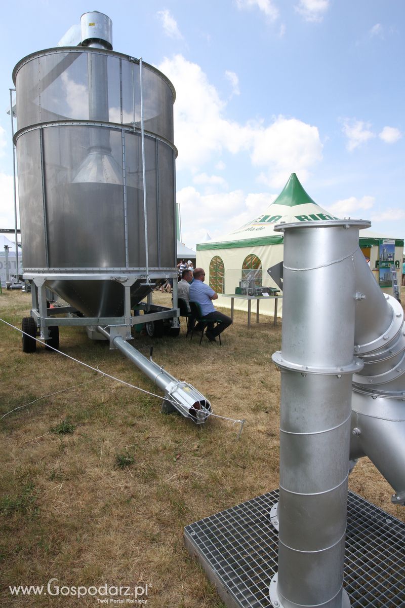 Riela na OPOLAGRZE 2015