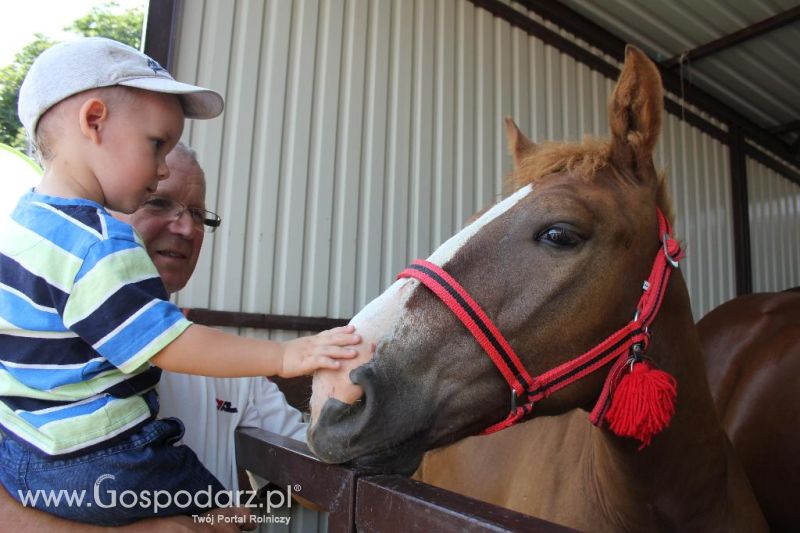 Regionalna Wystawa Zwierząt Hodowlanych i Dni z Doradztwem Rolniczym w Szepietowie-sobota