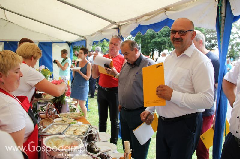 IV Ogólnopolski Festiwal Wieprzowiny - Koźmin Wlkp 2016