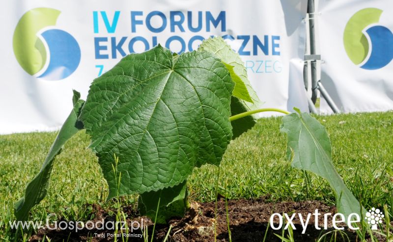 IV Forum Ekologiczne w Kołobrzegu
