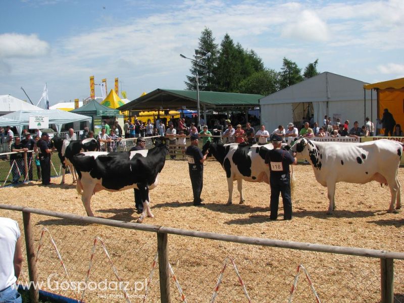 Relacja Foto Agro-Tech Minikowo 2012