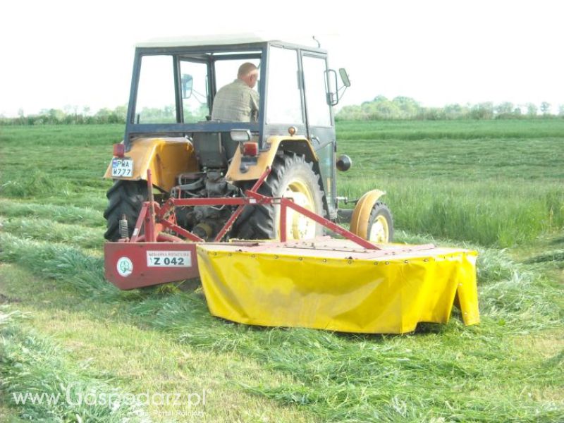 pierwsze sianokosy w roli głownej ursus c330M...