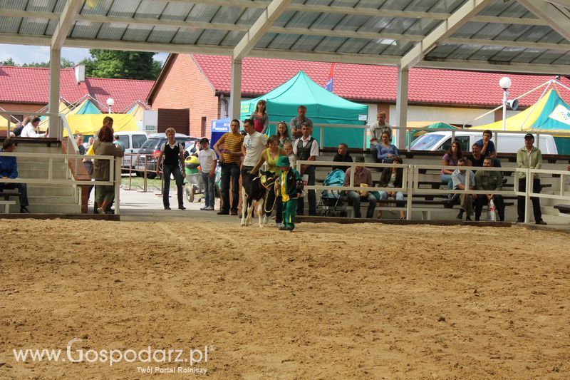 Czempioni XVII Regionalnej Wystawy Zwierząt Hodowlanych Sielinko 2011
