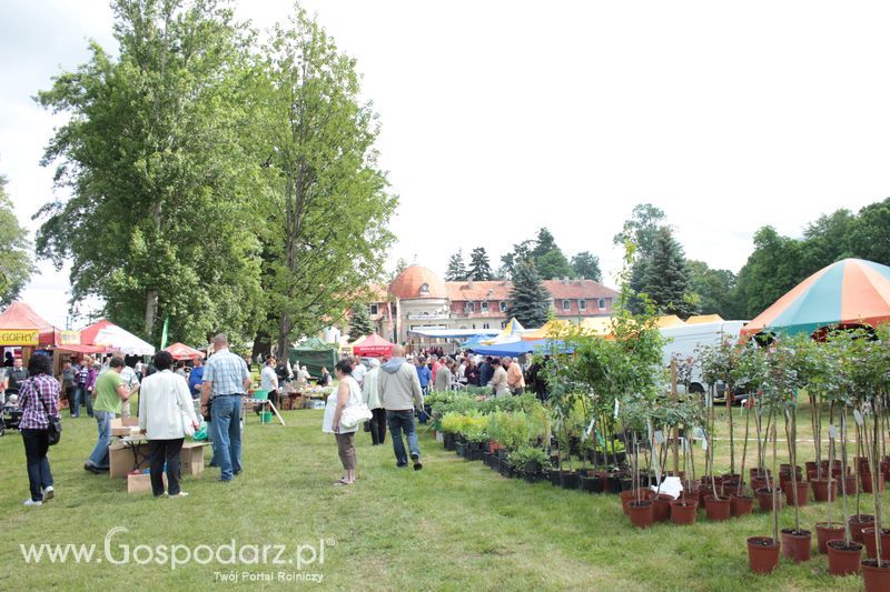 XX Targi Rolnicze Lubniewice 