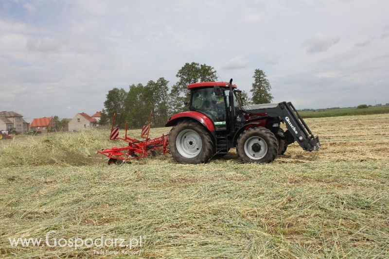 Pokazy polowe Romanów k/Krotoszyna