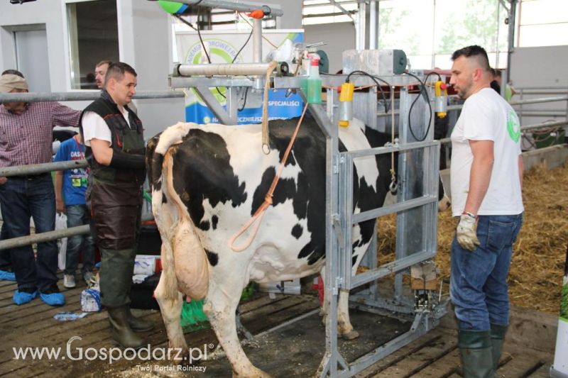 Dni Otwarte w GR Hendripol sp. z o.o.