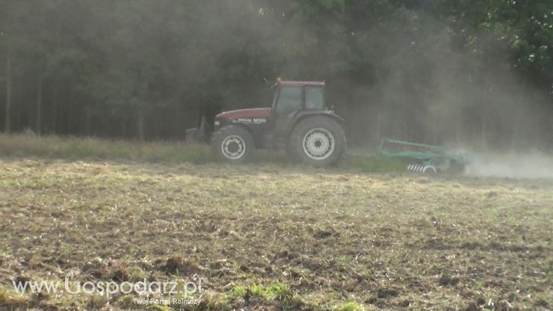 Talerzowane 2013 