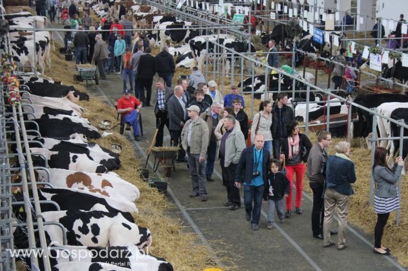 XXVI Krajowa Wystawa Zwierząt Hodowlanych - sobota i niedziela
