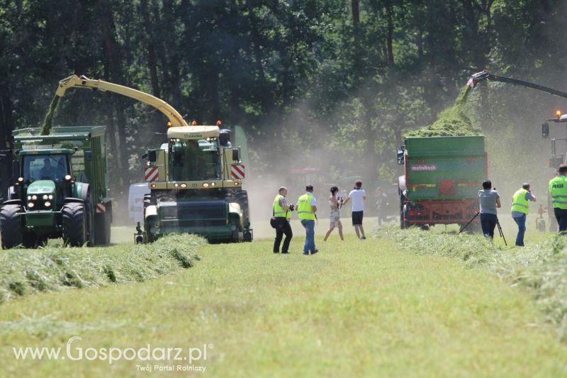 Zielone AGRO SHOW – POLSKIE ZBOŻA 2014 w Sielinku - sobota