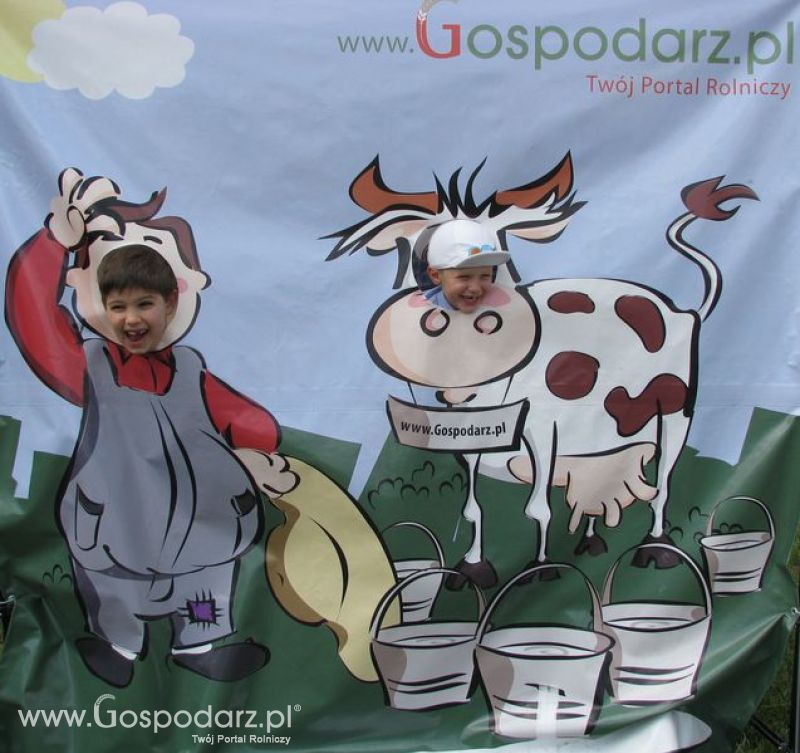 Wielkopolskie Targi Rolnicze „Sielinko 2011”  - Krówka Gospodarza