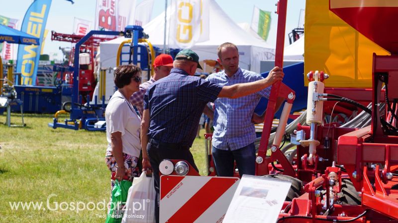 Opolagra 2017