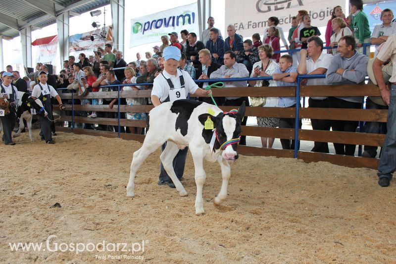 Młody hodowca na XVIII Regionalnej Wystawie Zwierząt Hodowlanych w Szepietowie
