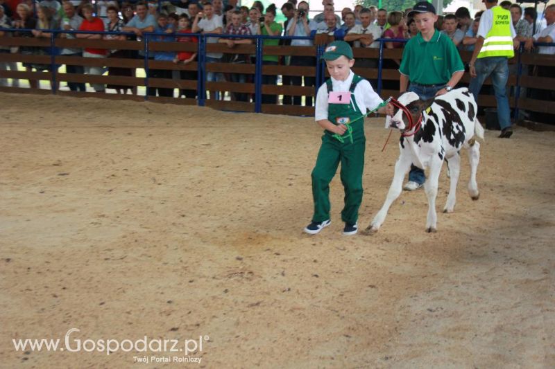 Młody Hodowca - Szepietowo 2013 XX Regionalna Wystawa Zwierząt Hodowlanych