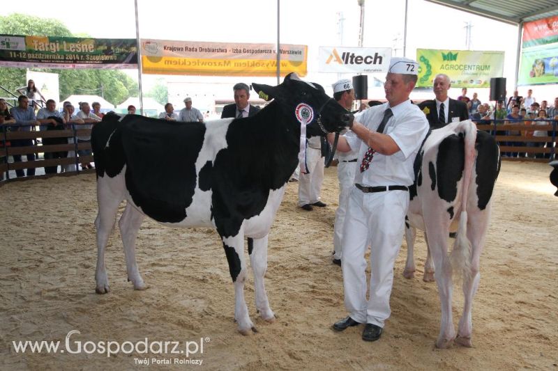 VIII Ogólnopolska Wystawa Bydła Hodowlanego, XXI Regionalna Wystawa Zwierząt Hodowlanych i Dni z Doradztwem Rolniczym w Szepietowie