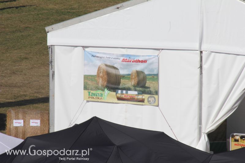 Tama na targach rolniczych Agroshow w Bednarach (2011).
