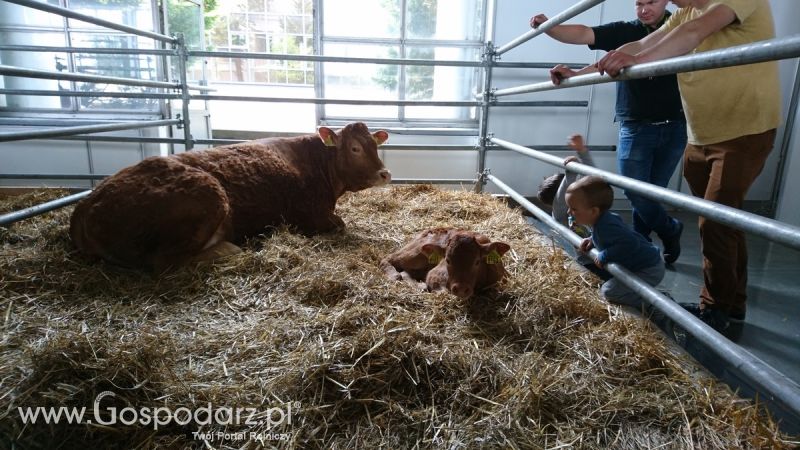 Narodowa Wystawa Zwierząt Hodowlanych 2019