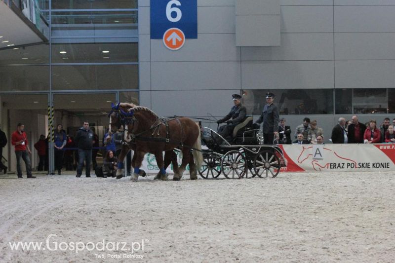 CAVALIADA 2013 w Poznaniu