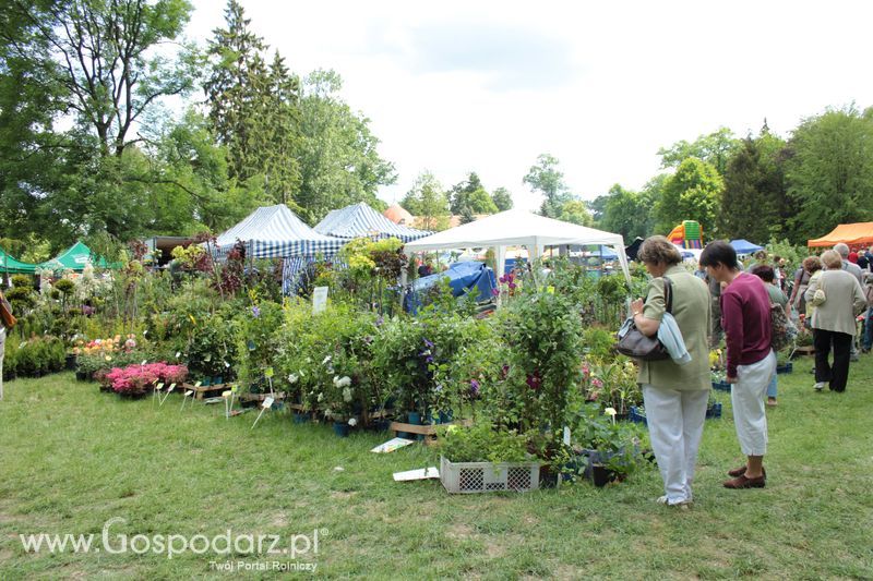 XX Targi Rolnicze Lubniewice 